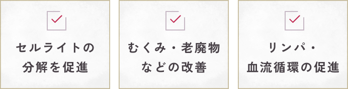 セルライトの分解を促進 むくみ・老廃物などの改善 リンパ・血流循環の促進