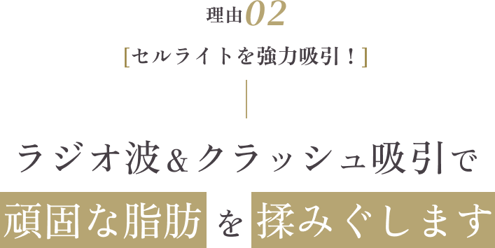 理由02 [セルライトを強力吸引！] ラジオ波＆クラッシュ吸引で頑固な脂肪を揉みぐします